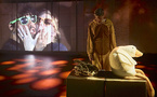 "The Last Hamlet" Pour en finir avec Hamlet, la résistible dés-ascension d'un looser dépressif, misogyne et fouille-merde shakespearien