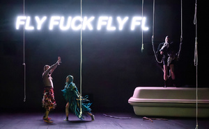 "Au nom du ciel" Vol au-dessus d'un nid de coucou… ou le meurtre d'un Palestinien autiste observé à hauteur d'oiseaux