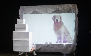 "le grand a". Un duo explosif et attachant qui tente d'élucider le grand mystère qu'est l'Amour