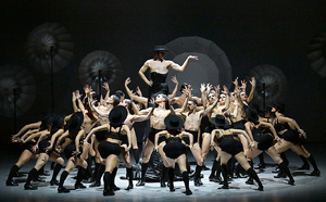 "Afanador"… Grande précision poétique du ballet flamenco