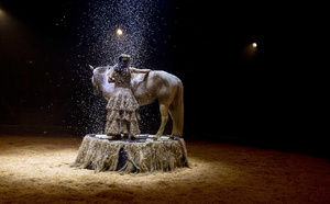 "Zusammen" L'art circassien du "faire ensemble" pour une relation spectaculaire et unique entre humains et chevaux