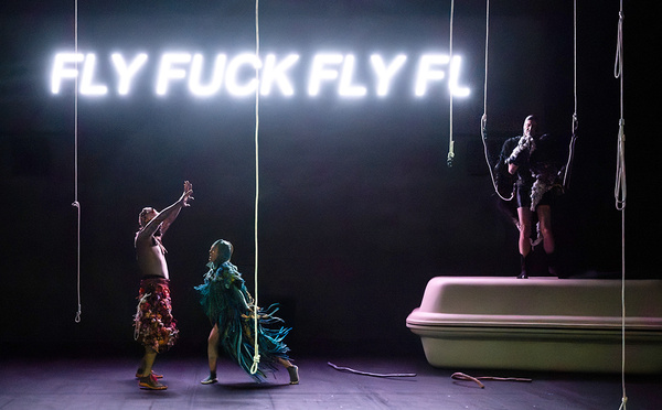 "Au nom du ciel" Vol au-dessus d'un nid de coucou… ou le meurtre d'un Palestinien autiste observé à hauteur d'oiseaux